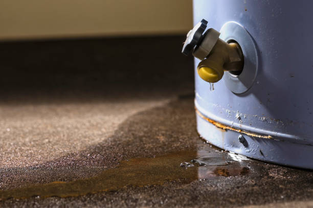 Professional Water damage restoration in Bowling Green, KY