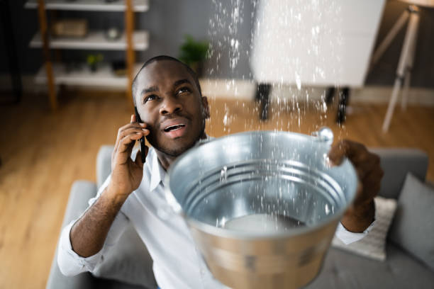 Best Water damage mitigation services  in Bowling Green, KY
