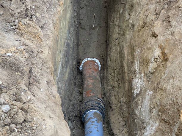 Best Professional water damage repair  in Bowling Green, KY