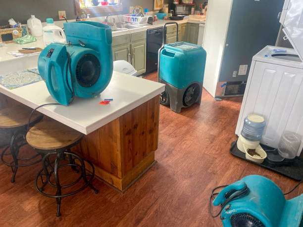  Bowling Green, KY Water damage restoration Pros