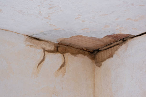 Carpet water damage restoration in Bowling Green, KY