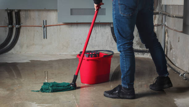 Best Flooded house restoration  in Bowling Green, KY