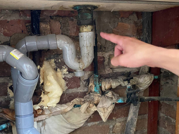 Best Basement water damage restoration  in Bowling Green, KY