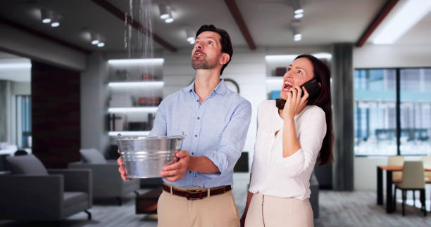 Best Water damage repair service  in Bowling Green, KY