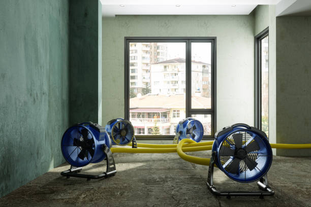 Local water damage restoration in Bowling Green, KY